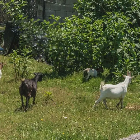 Naturaleza Y Tranquilidad: Vivienda En El Rural 아파트 Churio